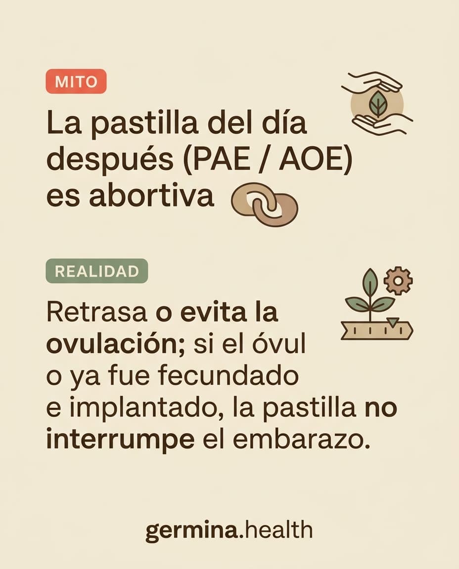 Infografía: La pastilla del día después (PAE / AOE) es abortiva